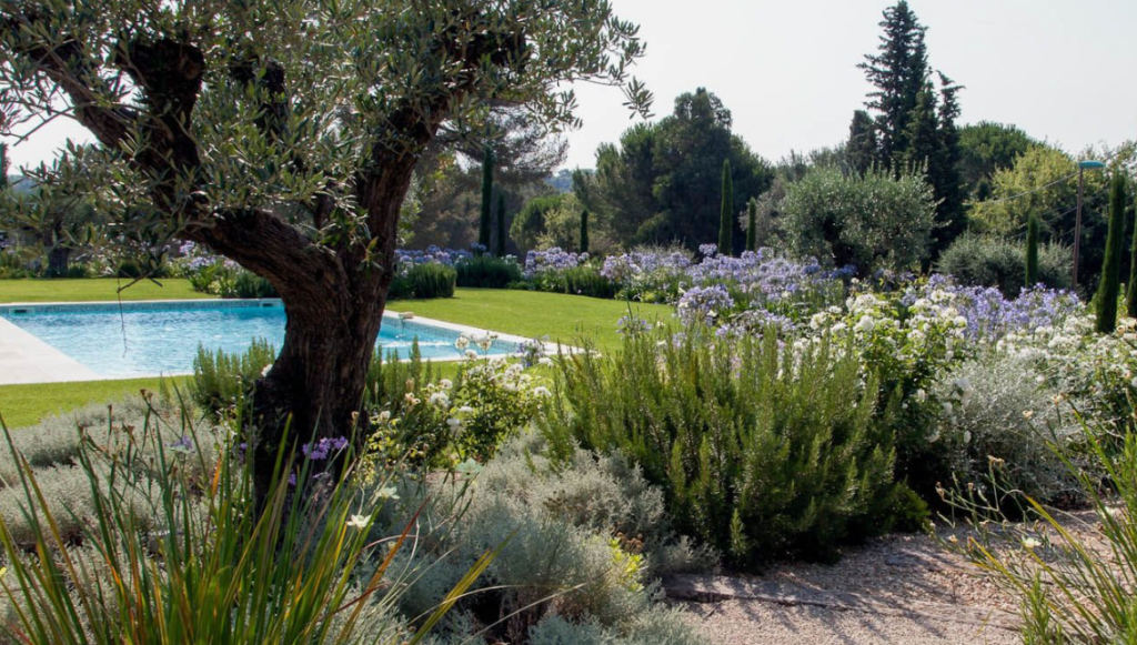 Paysagiste concepteur : créez un jardin unique et fonctionnel