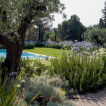 Paysagiste concepteur : créez un jardin unique et fonctionnel