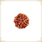 How to Identify Original 5 Mukhi Rudraksha from Nepal – Rudraksha Hart