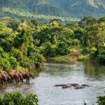 Ethiopia Online Visa Types: Tourist e-Visa Guide for Travelers