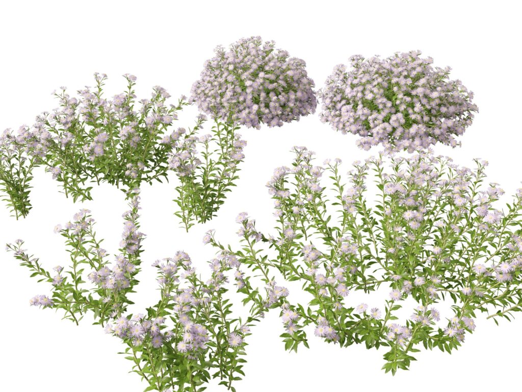 Realistic Cinema 4D Plants 3D Models for Stunning Visual Projects