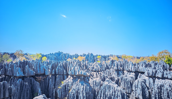 Simple Madagascar Visa Application for Denmark Citizens