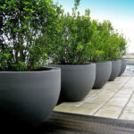 Leading Ceramic Planter Manufacturer in Dubai for Modern Spaces