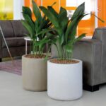 Top Suppliers of Architectural Planters in Dubai for Stylish Interiors & Exteriors