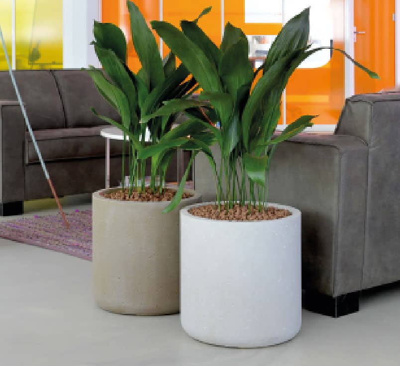 Top Suppliers of Architectural Planters in Dubai for Stylish Interiors & Exteriors