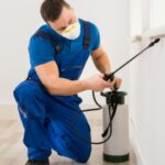 The Shocking Truth About Bed Bugs and Why Treatment Matters in Tampa