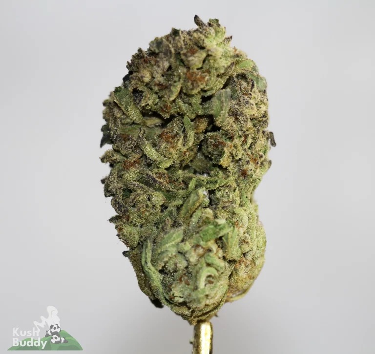 Affordable Cannabis Options: A Smart Buyer’s Guide