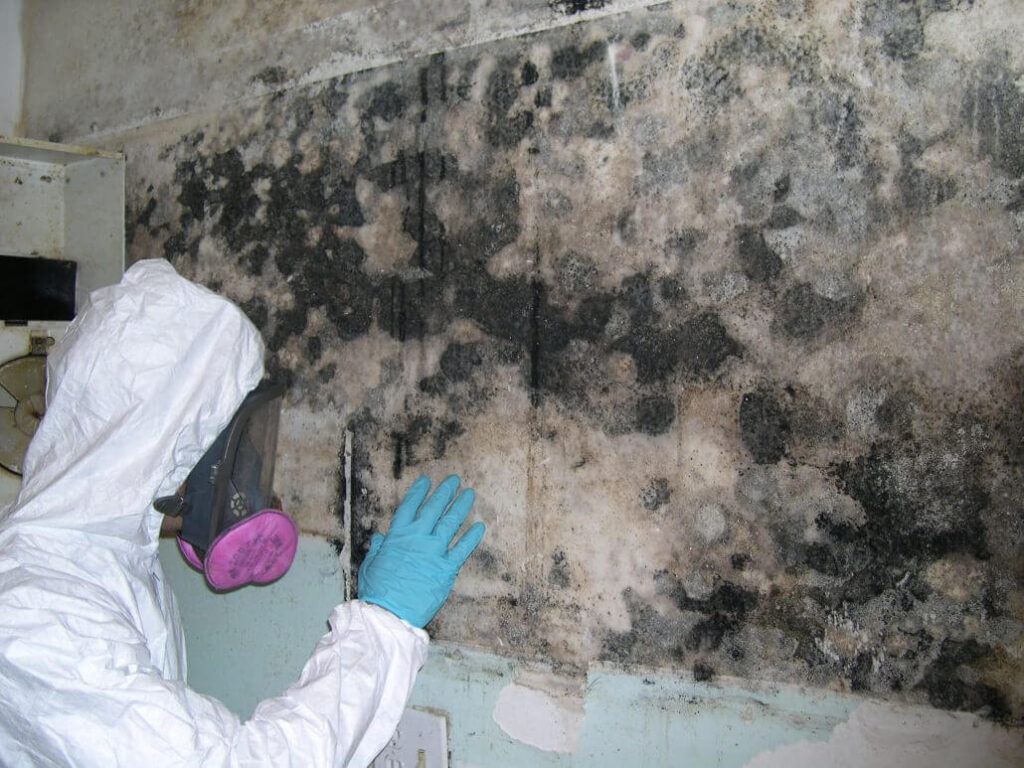 Reliable Mold Testing in Pine Bush NY by A-Tech Inspection Services