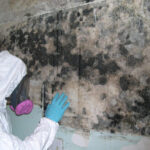 Reliable Mold Testing in Pine Bush NY by A-Tech Inspection Services