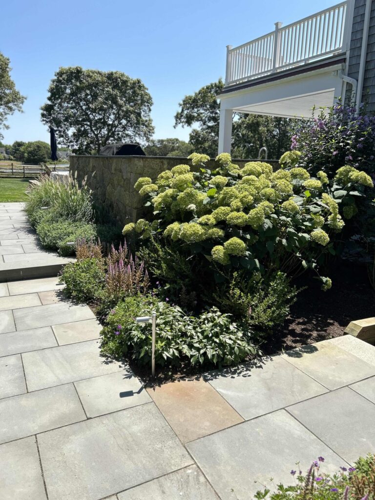 Is there a best schedule for plant bed maintenance in Martha’s Vineyard throughout the year?
