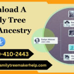 Ancestry Family Tree Download
