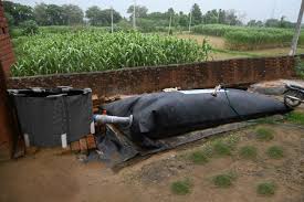 Food Waste to Biogas: A Smart Waste Management Solution