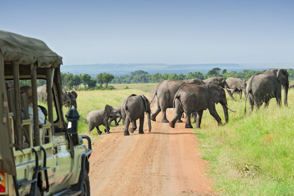Kabini Travel Guide: The Perfect Weekend Getaway from Bangalore