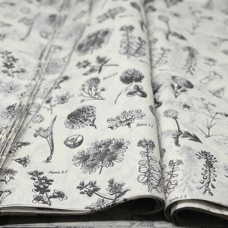 Elevate Branding with Custom Printed Tissue Paper Solutions