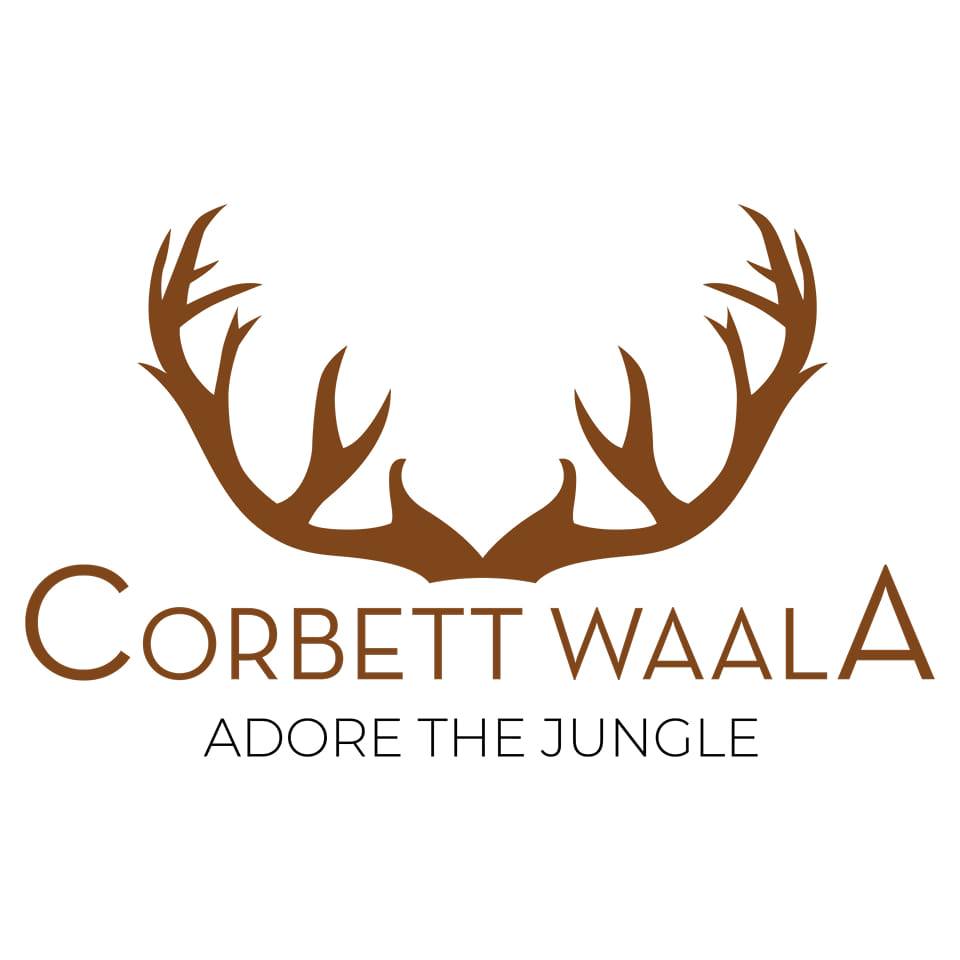 Into the Wild Heart of Jim Corbett: A Thrilling Jungle Safari in Garjiya Zone