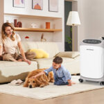 Oxygen Therapy at Home for Elderly Care and Comfort