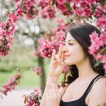 National Cherry Blossom Festival 2026: Your Ultimate Guide to Spring in Washington, DC