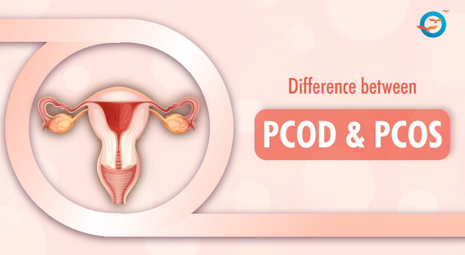 The Difference Between PCOD & PCOS – FFD