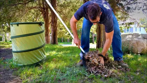 Landscaping Waste Disposal: A Smarter Approach to Sustainable Waste Management