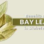 Bay Leaves (Tej Patta): A Simple Spice That Can Help Manage Diabetes Naturally