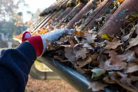 How Often Should You Book Gutter Cleaning in Williams Landing