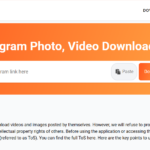 Easy Guide to Download Instagram Videos Quickly Online