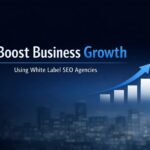 Boost Business Growth Using White Label SEO Agencies