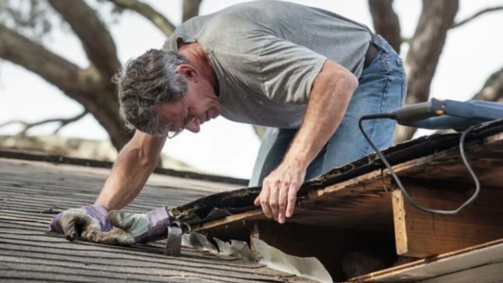 Understanding Roof Damage Repair: Protecting Your Home from the Top Down