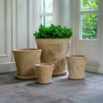 How to Style Rustic Terracotta Plant Pots for a Timeless Garden Look