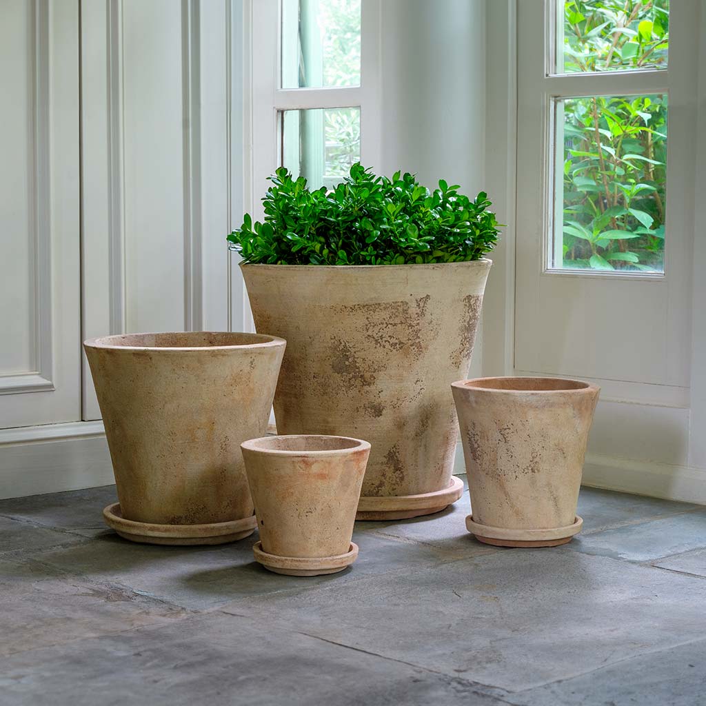 How to Style Rustic Terracotta Plant Pots for a Timeless Garden Look