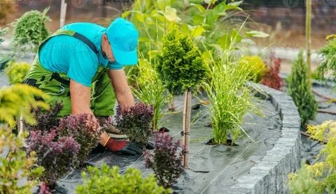 Backyard Landscape Design Guide for Functional and Beautiful Outdoor Spaces