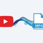 How to Download YouTube Videos in Minutes Using YouTube to MP4