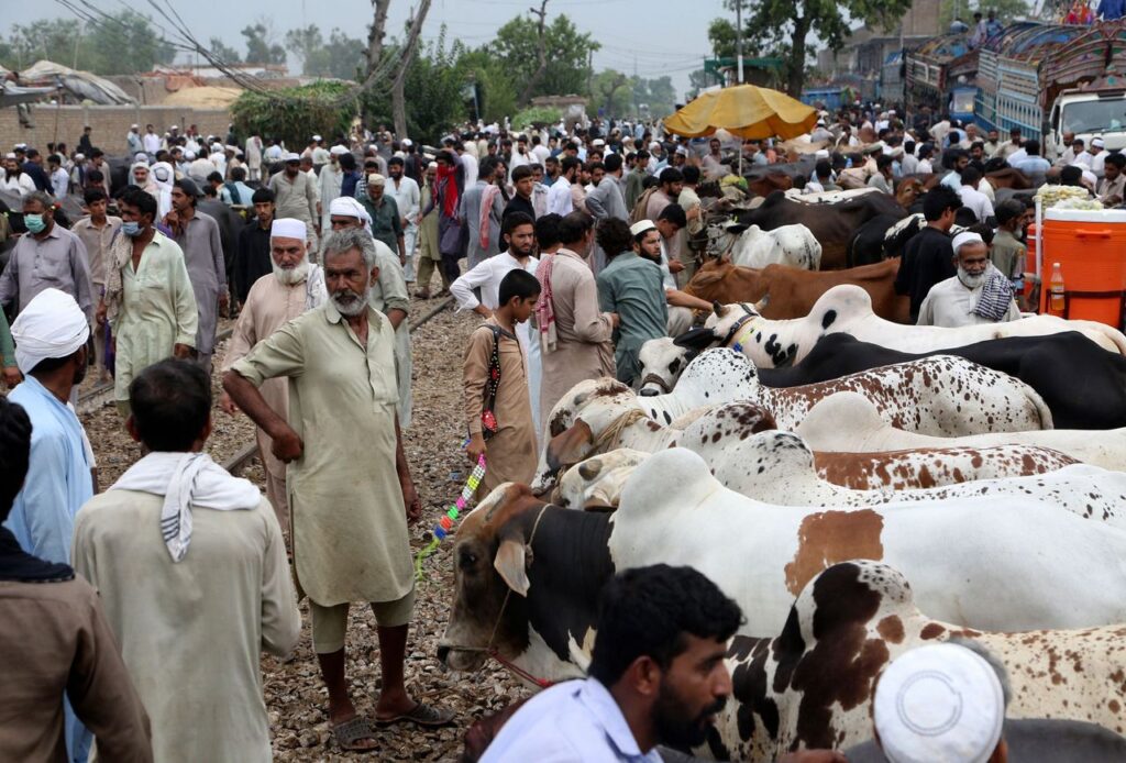 Eid ul Adha 2026: Complete Guide to Qurbani, Sunnah & Celebration