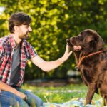 What Really Happens in a Private One-on-One Dog Training Session and Is It Worth It?