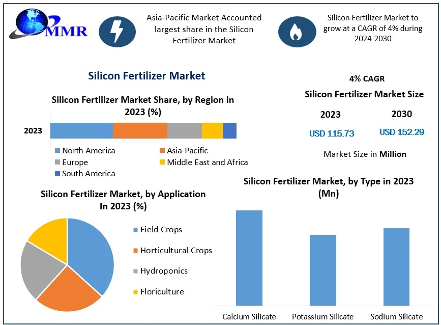 Silicon Fertilizer Market Global Insights, Demand and Growth Forecast 2024–2030
