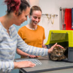 How Dog & Cat Haircut Service Gives Your Pet a Perfect Trim