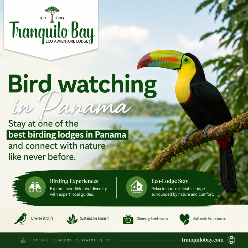 Experience the Joy of Birding at Tranquilo Bay