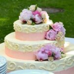 Send Cakes To Canada Online – Make Raksha Bandhan Sweeter Across Miles