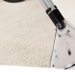 Top 10 Carpet Stains and How Professionals Remove Them?
