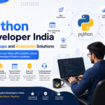 Hire Python Developer India for Startups and Enterprise Solutions