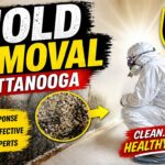Mold Removal Chattanooga: A Complete Guide to a Cleaner, Safer Home