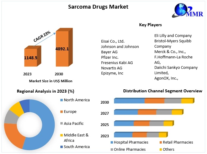 Sarcoma Drugs Market Report: Industry Analysis, Competitive Landscape and Forecast