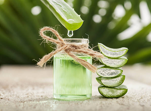 Rising Demand for Aloe Vera Extract Across Cosmetics, Healthcare, and Nutraceutical Applications