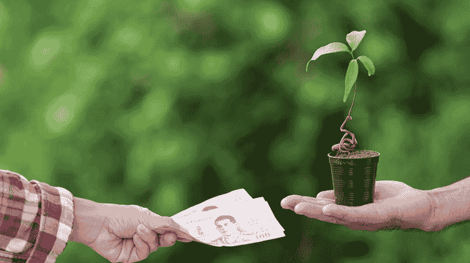 The Investment Angle of Carbon Credits Unlock Green Financing
