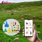 RFID Tag Credit Card Better Wallet Safety for Daily Payments and Travel Needs