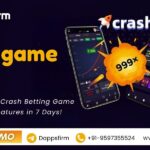 How to Enter the Crash Betting Industry Faster with Ready-Made Crash Game Script?
