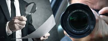 Which Agency Provides Fast and Accurate Investigation Reports?