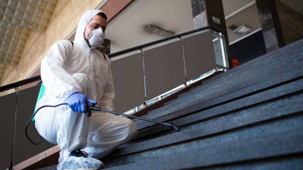 To Protect Your Business Why Commercial Termite Treatment is Essential