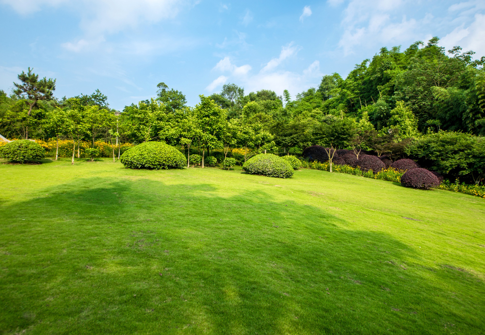 Complete Guide to Creating a Healthy and Beautiful Outdoor Space