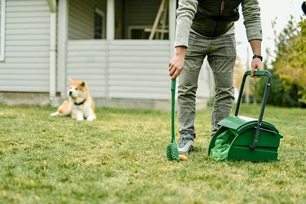 Keep Outdoor Areas Fresh with Trusted Cleanup Care